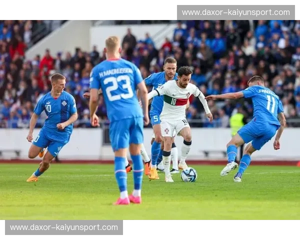 极北之境的沸腾：世预赛芬兰对决冰岛，谁能摘下北欧王冠？